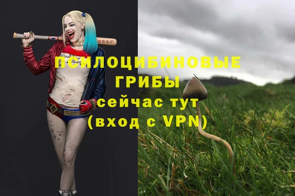 MDMA Медногорск