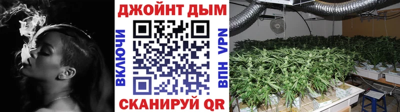 Бошки марихуана планчик  хочу наркоту  Железногорск-Илимский 